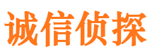 西藏市私家侦探